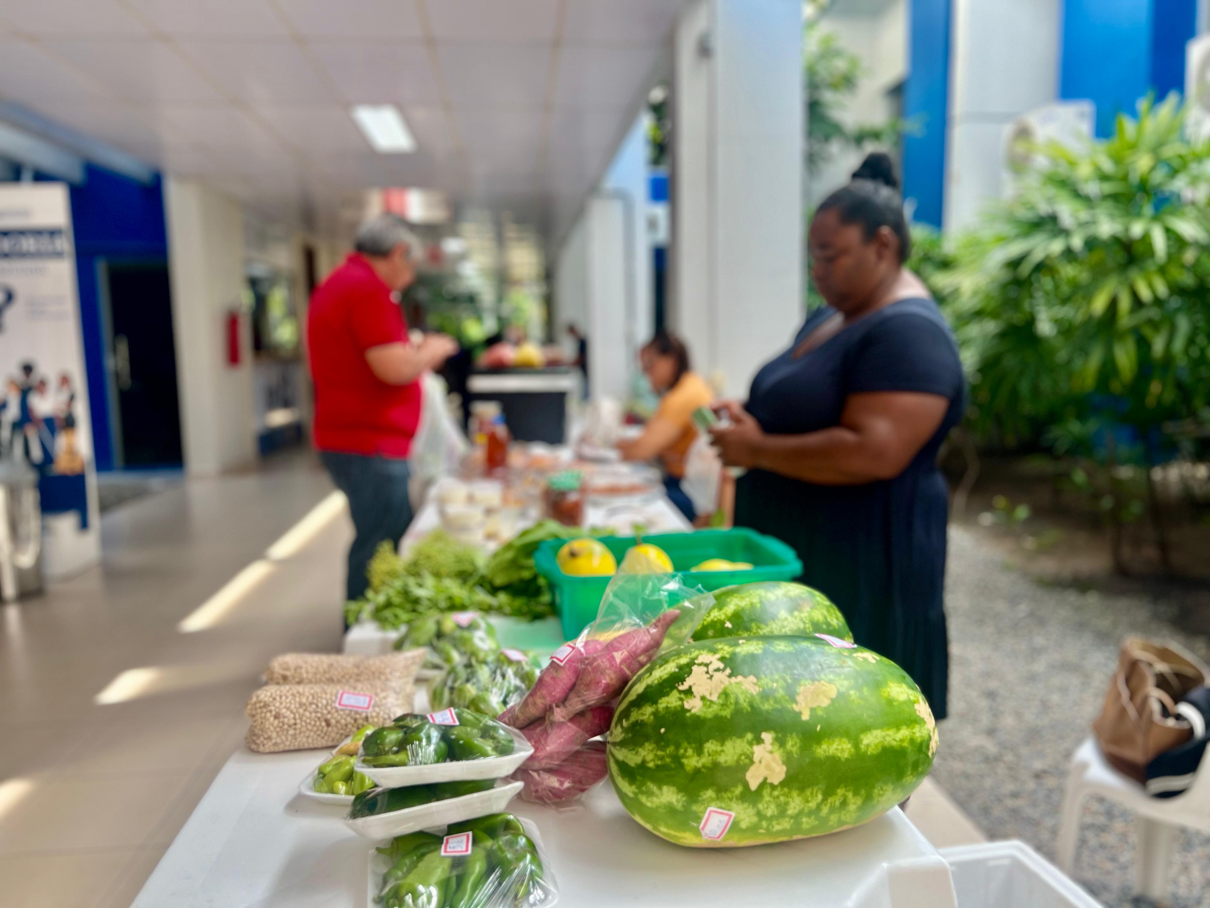 foto colorida mostrando uma melancia, um sacola de batata doce e outros vegetais em uma mesa branca foto colorida mostrando uma melancia, um sacola de batata doce e outros vegetais em uma mesa branca